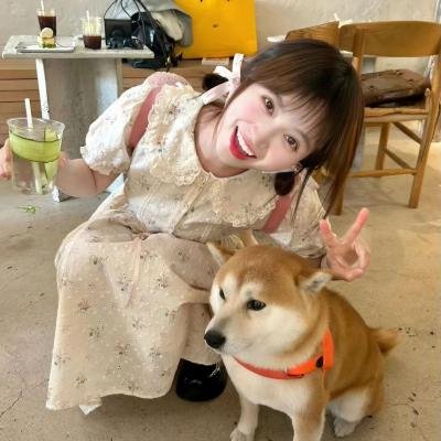 书虫公主